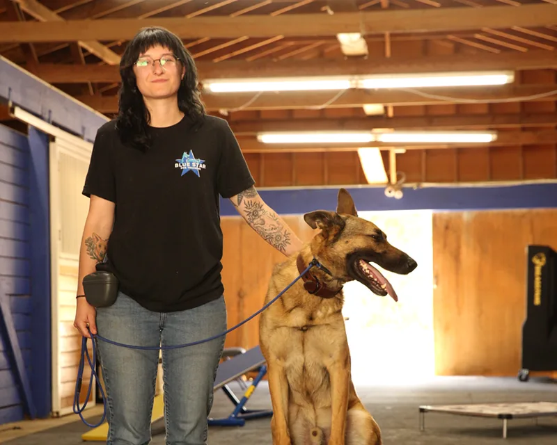 A Blue Star Dog Training trainer with a shepherd holding a place command in the indoor training barn