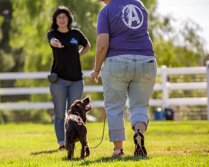 A Blue Star Dog Training trainer coaching an owner and her dog during a private lesson