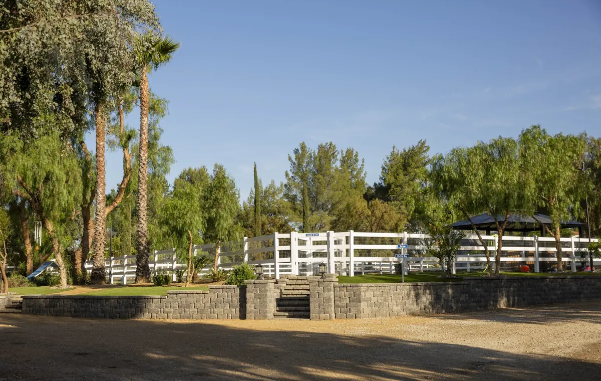 The fenced grass training arena at the Blue Star Dog Training ranch in Menifee