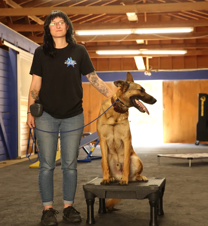 A trainer and a shepherd in the renovated indoor training barn