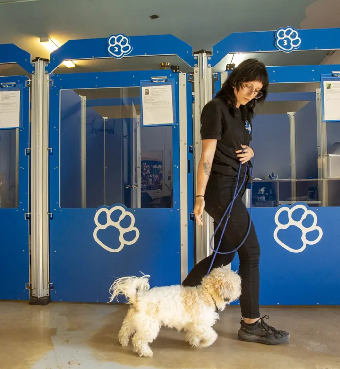 A trainer walking a small dog past the climate-controlled indoor kennel runs